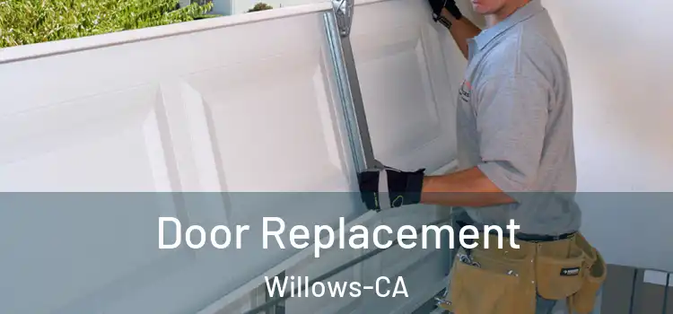  Door Replacement Willows-CA