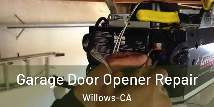  Garage Door Opener Repair Willows-CA